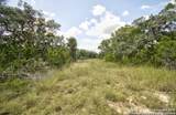LOT 16 Paloma Ranch Rd - Photo 9
