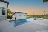 23610 Messina Cyn - Photo 46