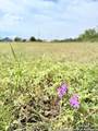 TBD Nakomis Dr - Photo 3