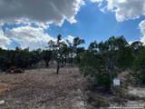 320 Lexington Pass - Photo 1