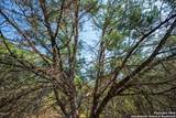 1121 Sleepy Hollow - Photo 16