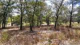 141 Oak Hill - Photo 10