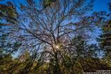 28 Frio Canyon Loop - Photo 8