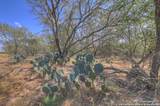 445 Single Oak Rd - Photo 20