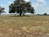 713 County Road 232 - Photo 11