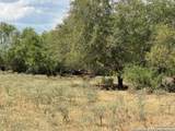 1039 County Road 232 - Photo 1