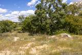 11317 Sloanes Ridge - Photo 5