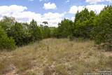 11313 Sloanes Ridge - Photo 9