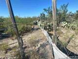 1 ACRE LOT 137 Don Chema Rd - Photo 19