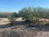 1 ACRE LOT 137 Don Chema Rd - Photo 20