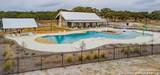 660 Travis Forest - Photo 8