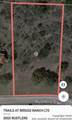 3003 Rustlers Trail - Photo 1