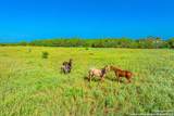 3911 County Road 1000 - Photo 14