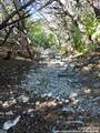 LOT10A-16A,9-11 Plum Cove Road - Photo 12