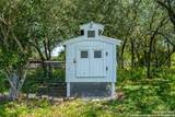 13831 Tx Highway 127 - Photo 49