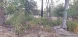 717 Dittlinger - Photo 18