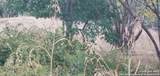 717 Dittlinger - Photo 7