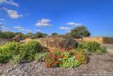 2416 Triple Peak - Photo 26
