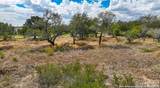 205 Trophy Lane - Photo 10
