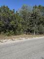 (LT)394 Forest Trail Drive - Photo 3