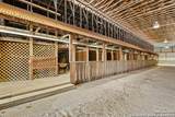 1001 D - Photo 28