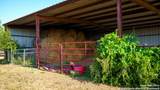 2525 Fm 2623 - Photo 10