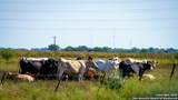 2525 Fm 2623 - Photo 15