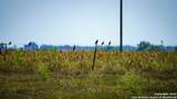 2525 Fm 2623 - Photo 30
