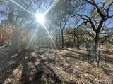 30685 Rice - Photo 11