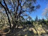 30685 Rice - Photo 16