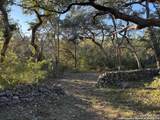 1041 Homestead Ridge - Photo 40