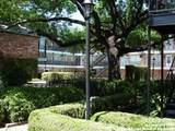 8401 New Braunfels Ave - Photo 12