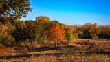 163 County Road 283 - Photo 29