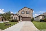 10227 Amaryllis - Photo 2