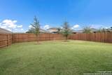 10227 Amaryllis - Photo 22