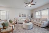 10227 Amaryllis - Photo 3