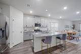 10227 Amaryllis - Photo 6