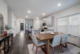 10227 Amaryllis - Photo 8