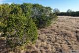 PARCEL 1 Rio Lantana Dr - Photo 29