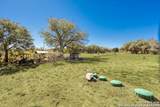 2152 Palomino - Photo 31