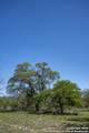 2731 County Road 770 - Photo 17
