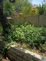 13306 Ming Heights - Photo 46