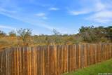 124 Wood Moss - Photo 25