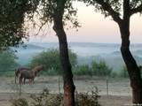 1041 Mystic Breeze - Photo 37