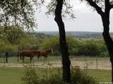 1041 Mystic Breeze - Photo 38