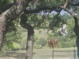 1041 Mystic Breeze - Photo 41