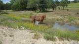 1041 Mystic Breeze - Photo 45