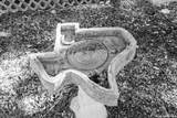 181 Spring - Photo 39