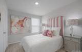 7411 Donkey Valley - Photo 10