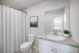 7411 Donkey Valley - Photo 11